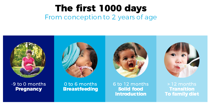 The stages of the first 1,000 days of life