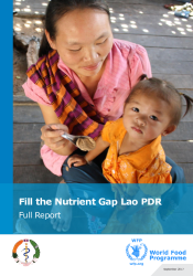 Fill the Nutrient Gap Lao PDR-September 2017