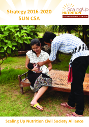 SUN CSA Laos PDR Strategy for 2016-2020